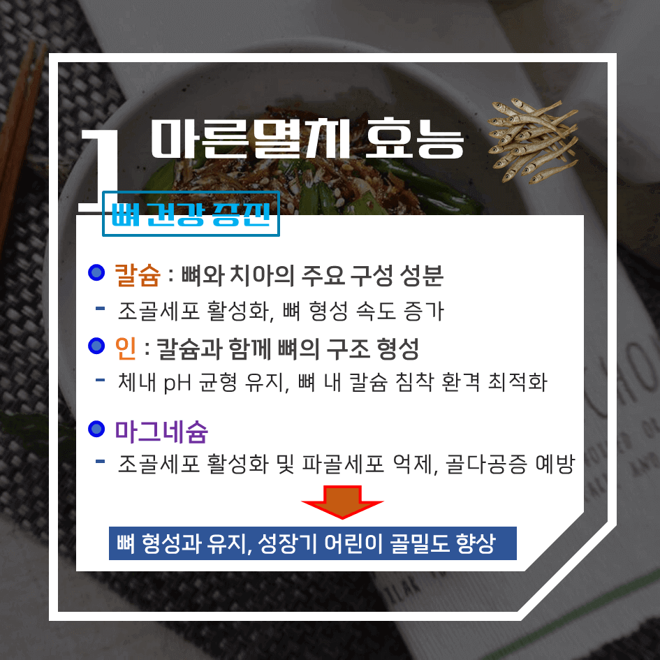 뼈 건강의 완전체! 마른멸치 효능 & 칼로리 1탄 : 고단백·고칼슘 국민 밥반찬의 모든것
