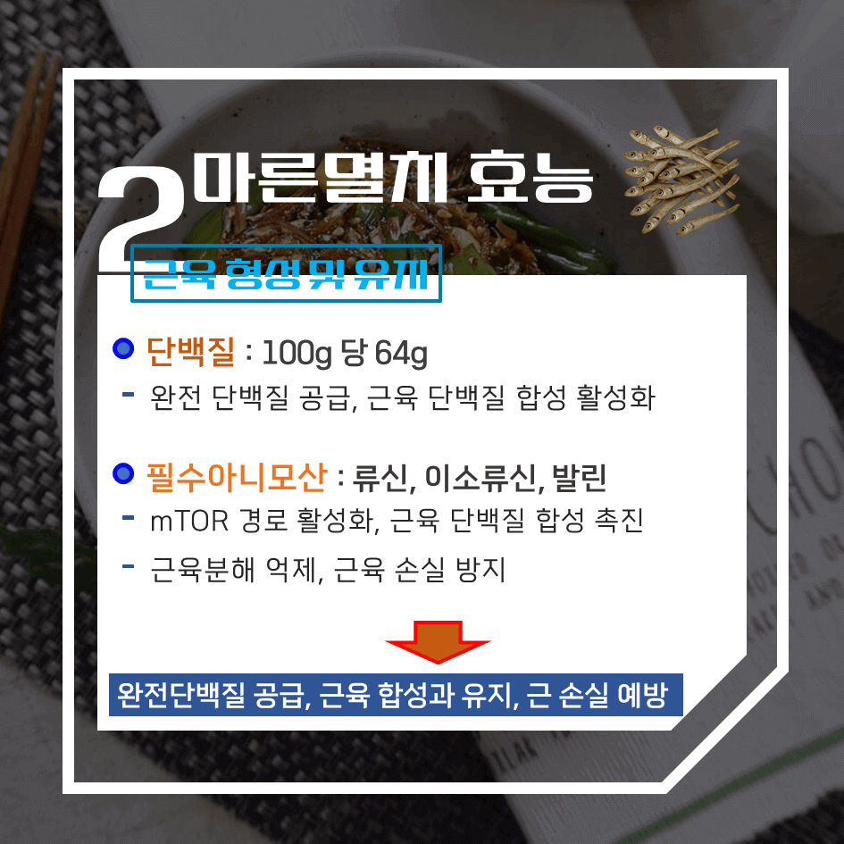뼈 건강의 완전체! 마른멸치 효능 & 칼로리 1탄 : 고단백·고칼슘 국민 밥반찬의 모든것