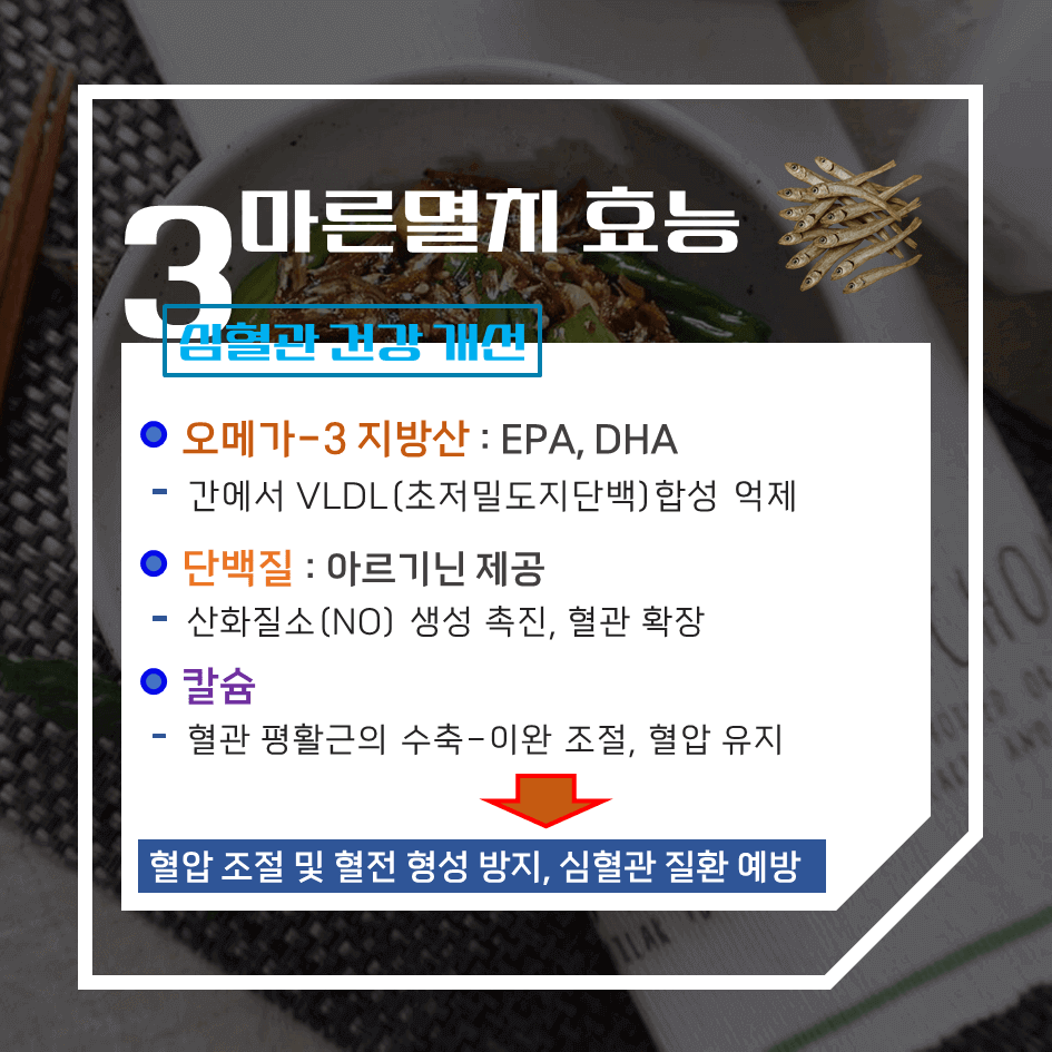 뼈 건강의 완전체! 마른멸치 효능 & 칼로리 1탄 : 고단백·고칼슘 국민 밥반찬의 모든것