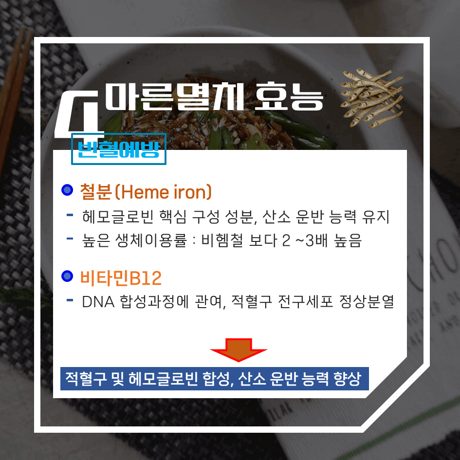 뼈 건강의 완전체! 마른멸치 효능 & 칼로리 1탄 : 고단백·고칼슘 국민 밥반찬의 모든것