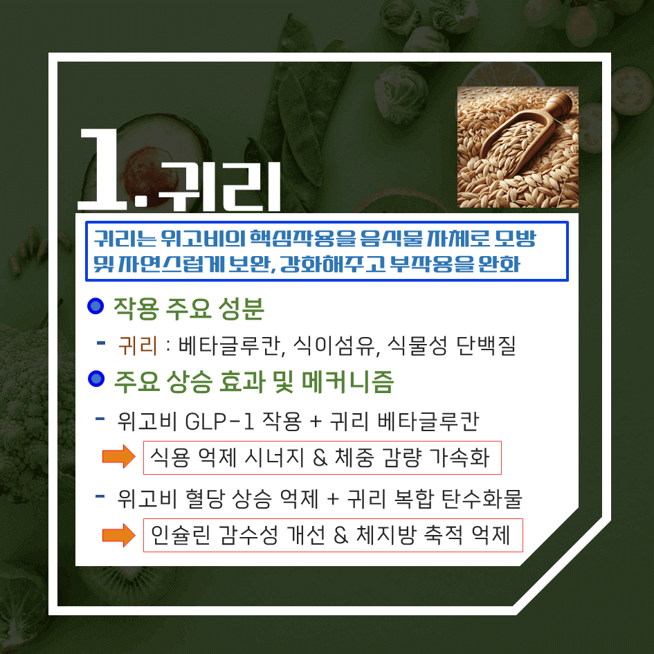 위고비 효과 극대화!! 함께 먹으면 좋은 음식 7가지