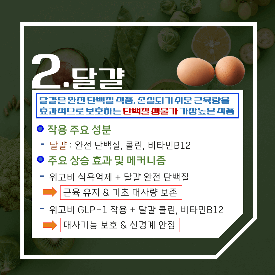 위고비 효과 극대화!! 함께 먹으면 좋은 음식 7가지