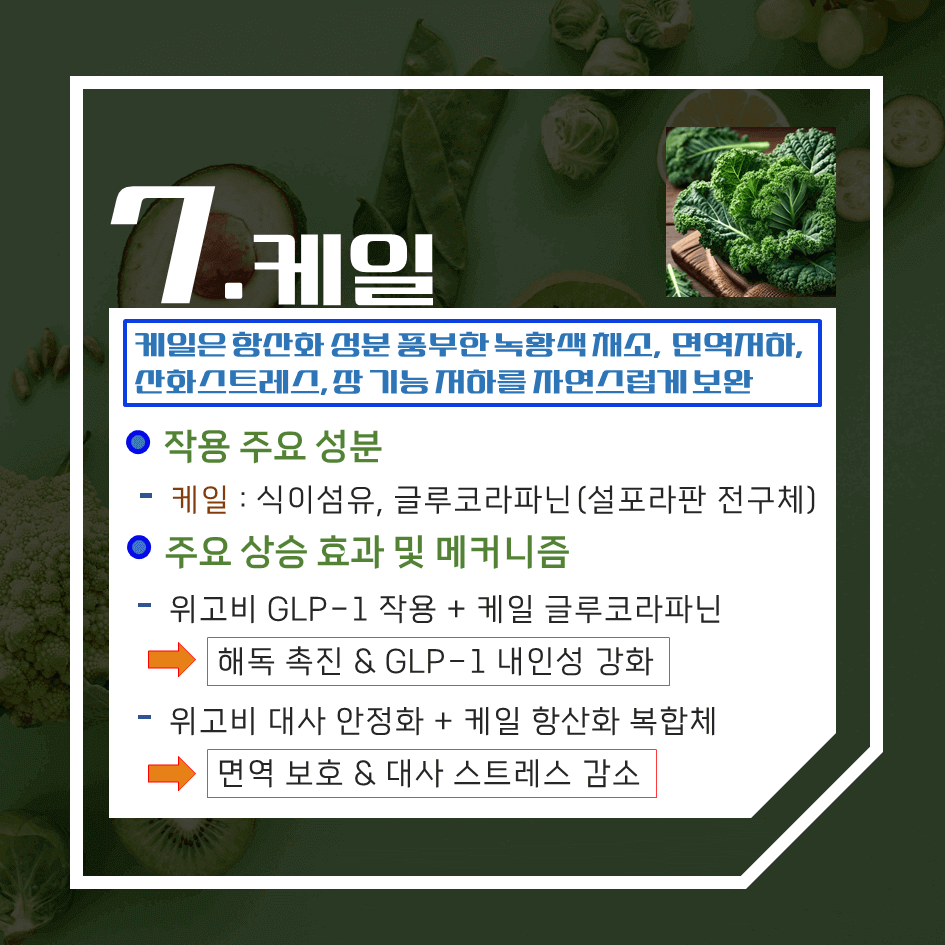 위고비 효과 극대화!! 함께 먹으면 좋은 음식 7가지