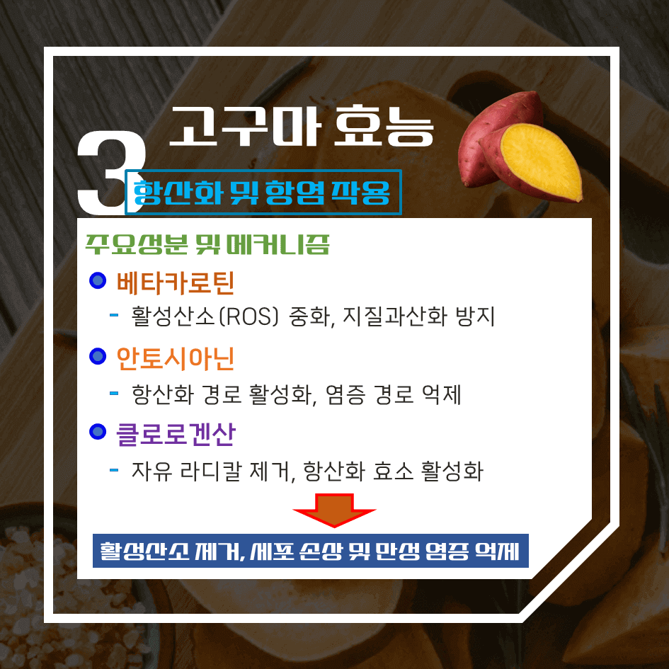 저칼로리 영양 식단의 핵심!! 고구마 효능 & 칼로리 1탄 : 다이어트 건강식의 정석