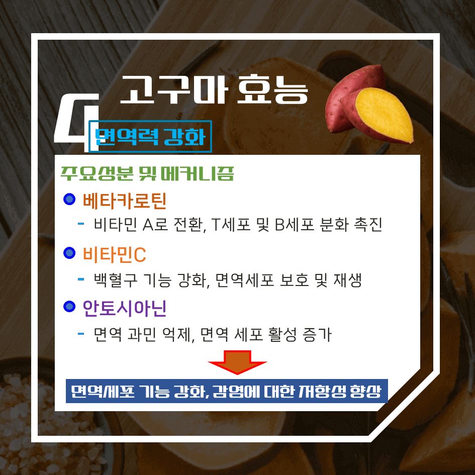 저칼로리 영양 식단의 핵심!! 고구마 효능 & 칼로리 1탄 : 다이어트 건강식의 정석