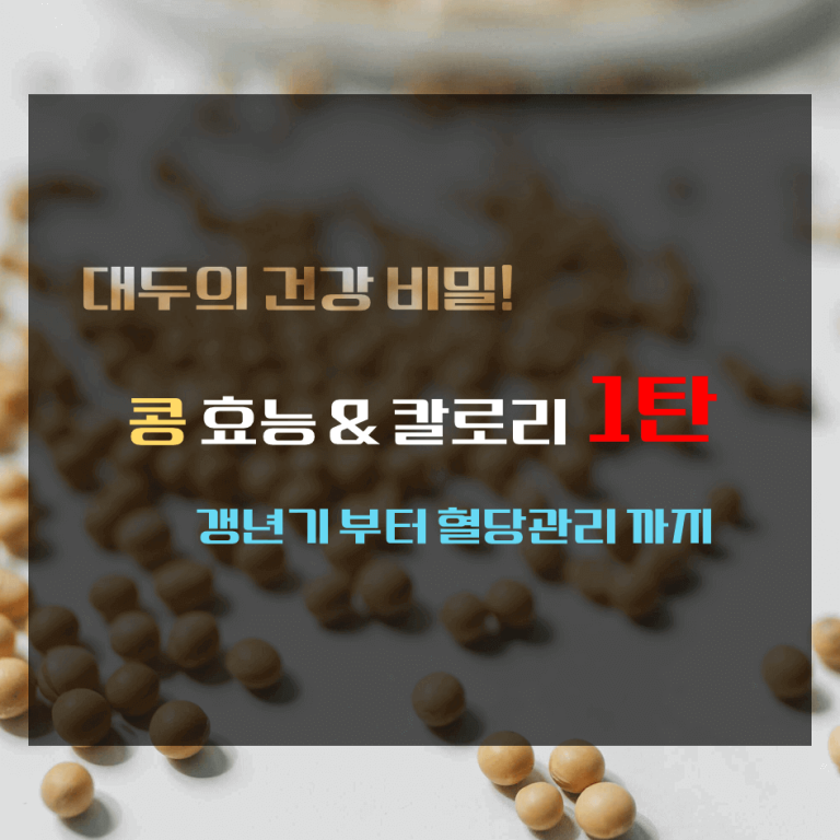 대두의 건강 비밀! 콩 효능 & 칼로리 1탄 : 갱년기부터 혈당 관리까지