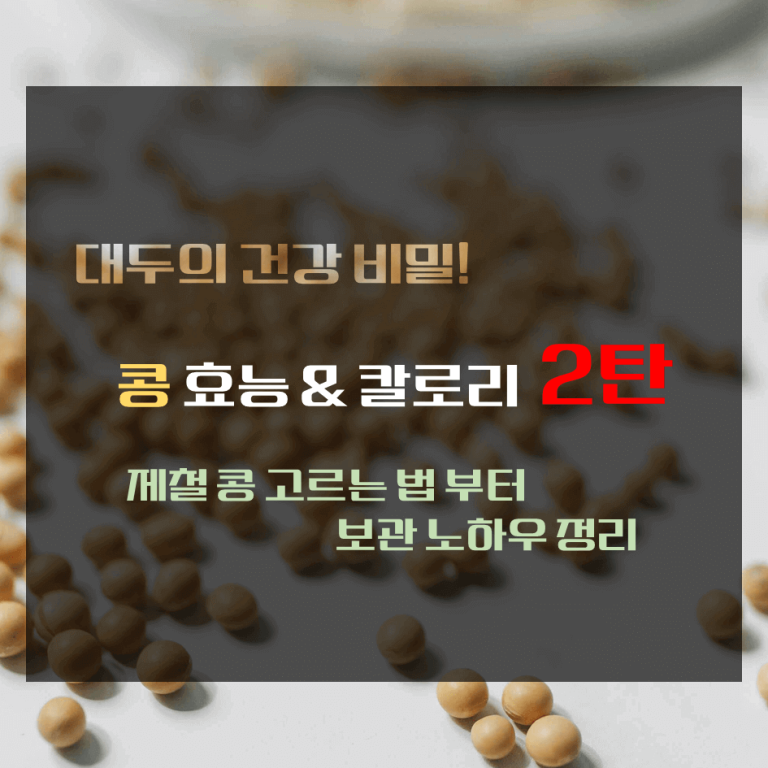 대두의 건강 비밀! 콩 효능 & 칼로리 2탄 : 제철 콩 고르는 법부터 보관 노하우 정리
