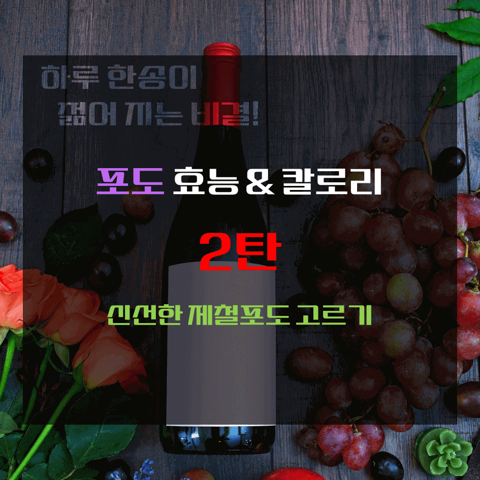 하루 한송이 젊어지는 비결! 포도 효능 & 칼로리 2탄 : 신선한 제철포도 고르기