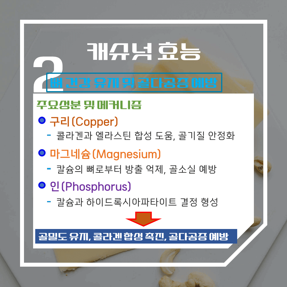 고단백·고마그네슘! 캐슈넛 효능 & 칼로리 1탄 : 뇌 건강부터 다이어트까지