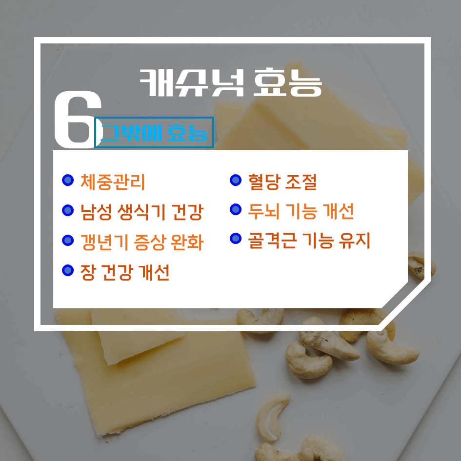 고단백·고마그네슘! 캐슈넛 효능 & 칼로리 1탄 : 뇌 건강부터 다이어트까지