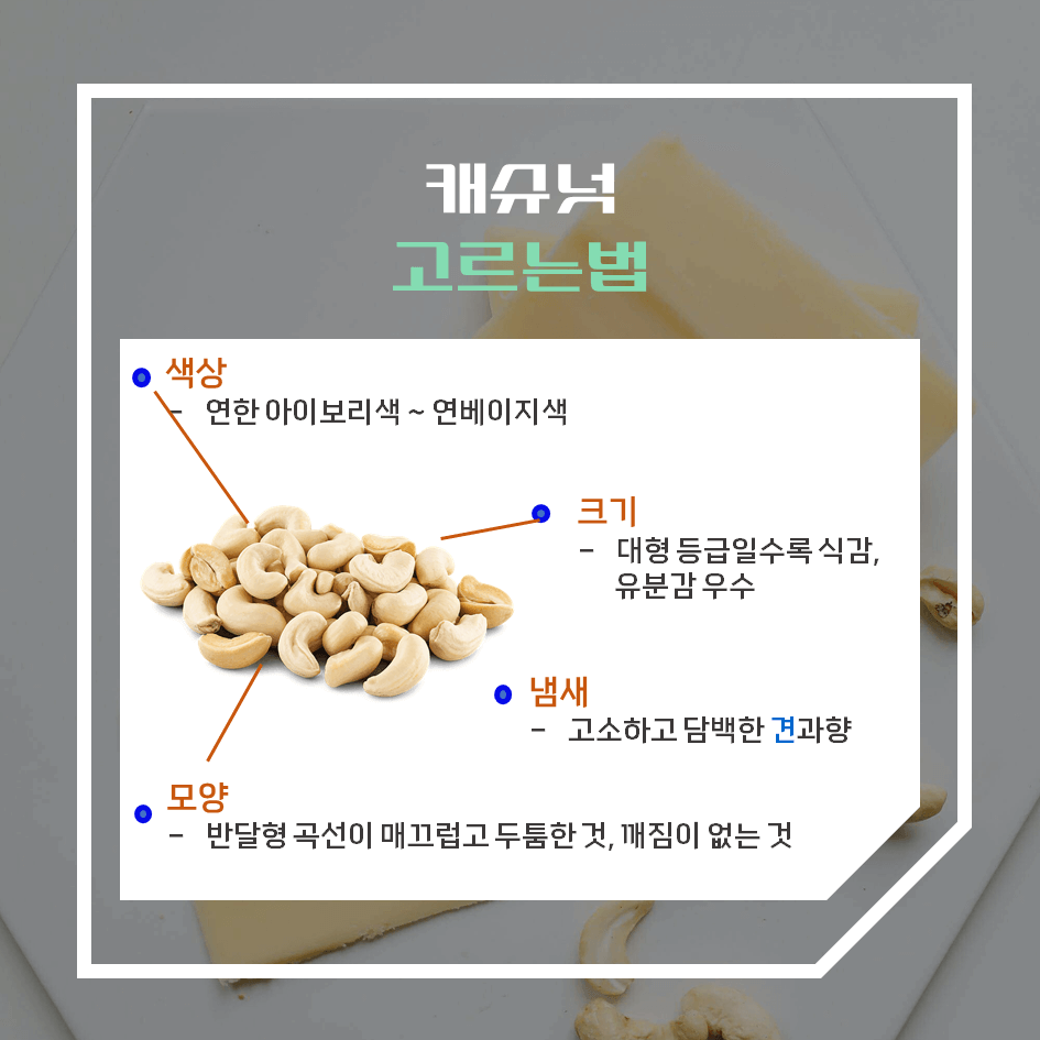 고단백·고마그네슘! 캐슈넛 효능 & 칼로리 2탄 : 하루 권장량부터 보관법·활용법까지 총정리