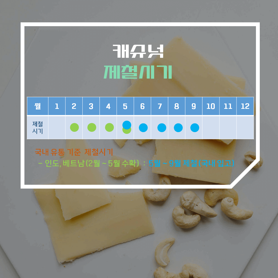 고단백·고마그네슘! 캐슈넛 효능 & 칼로리 2탄 : 하루 권장량부터 보관법·활용법까지 총정리