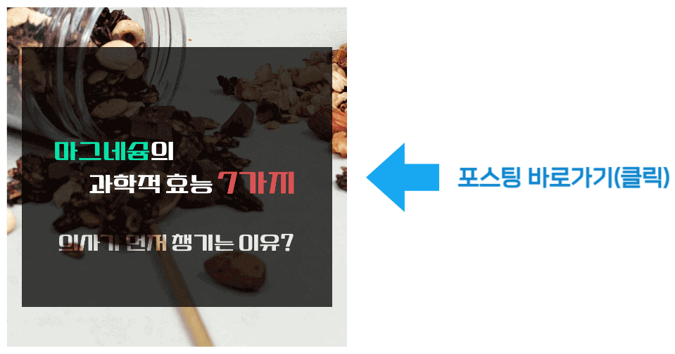 마그네슘의 과학적 효능 7가지 바로가기