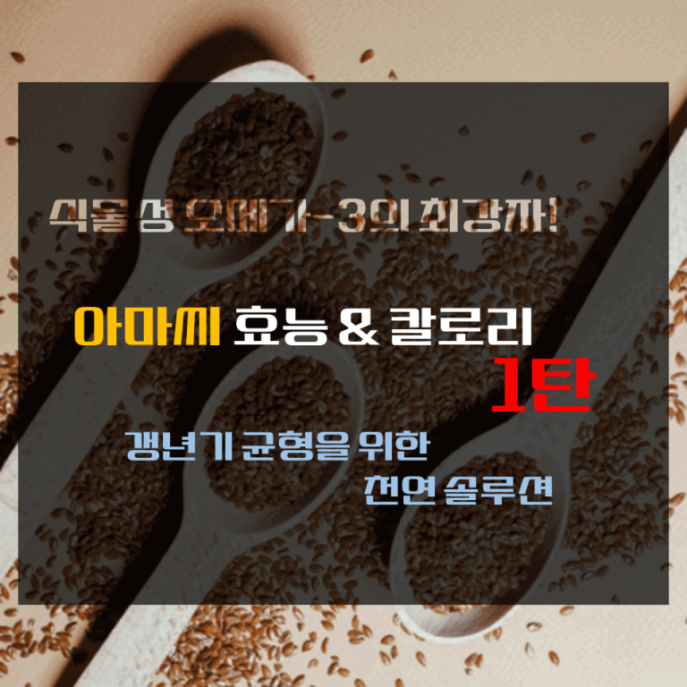 식물성 오메가-3의 최강자! 아마씨 효능 & 칼로리 1탄 : 갱년기 균형을 위한 천연 솔루션