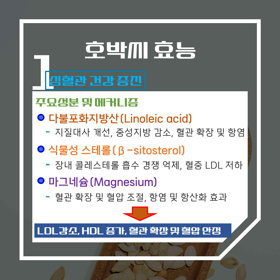 전립선 건강 필수템! 호박씨 효능 & 칼로리 1탄 : 자연 마그네슘 보충제의 힘