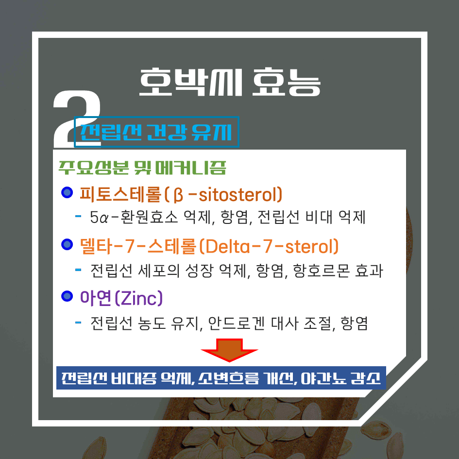전립선 건강 필수템! 호박씨 효능 & 칼로리 1탄 : 자연 마그네슘 보충제의 힘