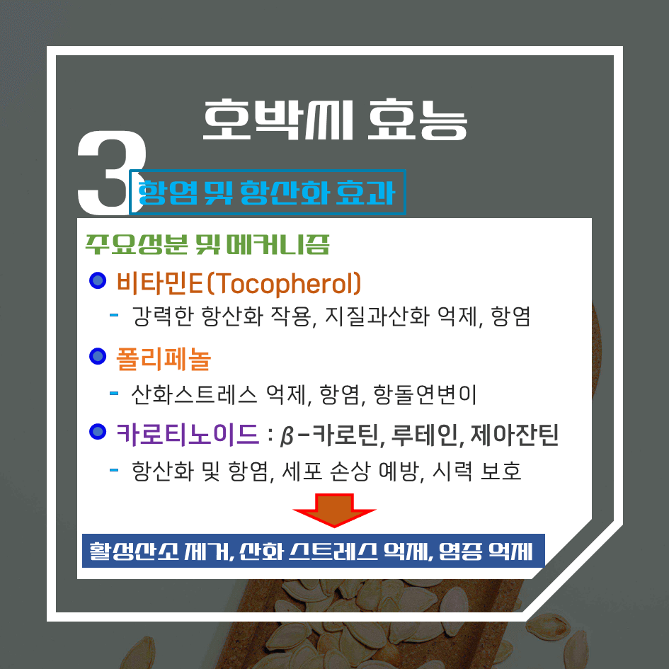 전립선 건강 필수템! 호박씨 효능 & 칼로리 1탄 : 자연 마그네슘 보충제의 힘