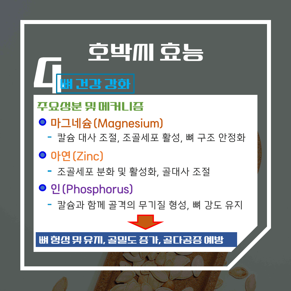 전립선 건강 필수템! 호박씨 효능 & 칼로리 1탄 : 자연 마그네슘 보충제의 힘