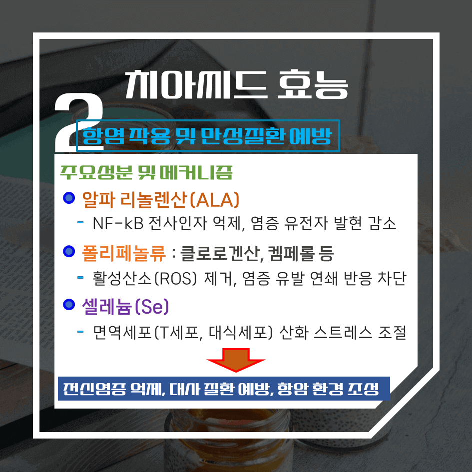 하루 한 스푼의 건강법! 치아씨드 효능 & 칼로리 1탄 : 오메가-3·마그네슘·식이섬유가 풍부한 슈퍼푸드