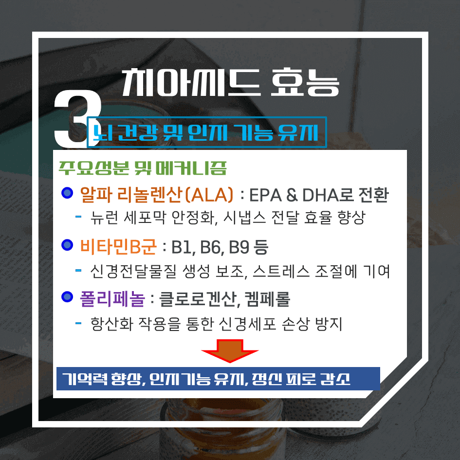 하루 한 스푼의 건강법! 치아씨드 효능 & 칼로리 1탄 : 오메가-3·마그네슘·식이섬유가 풍부한 슈퍼푸드