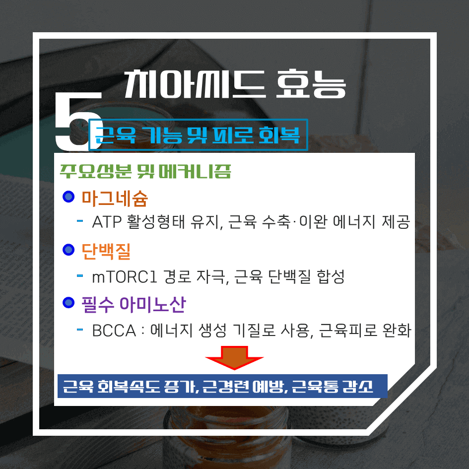 하루 한 스푼의 건강법! 치아씨드 효능 & 칼로리 1탄 : 오메가-3·마그네슘·식이섬유가 풍부한 슈퍼푸드