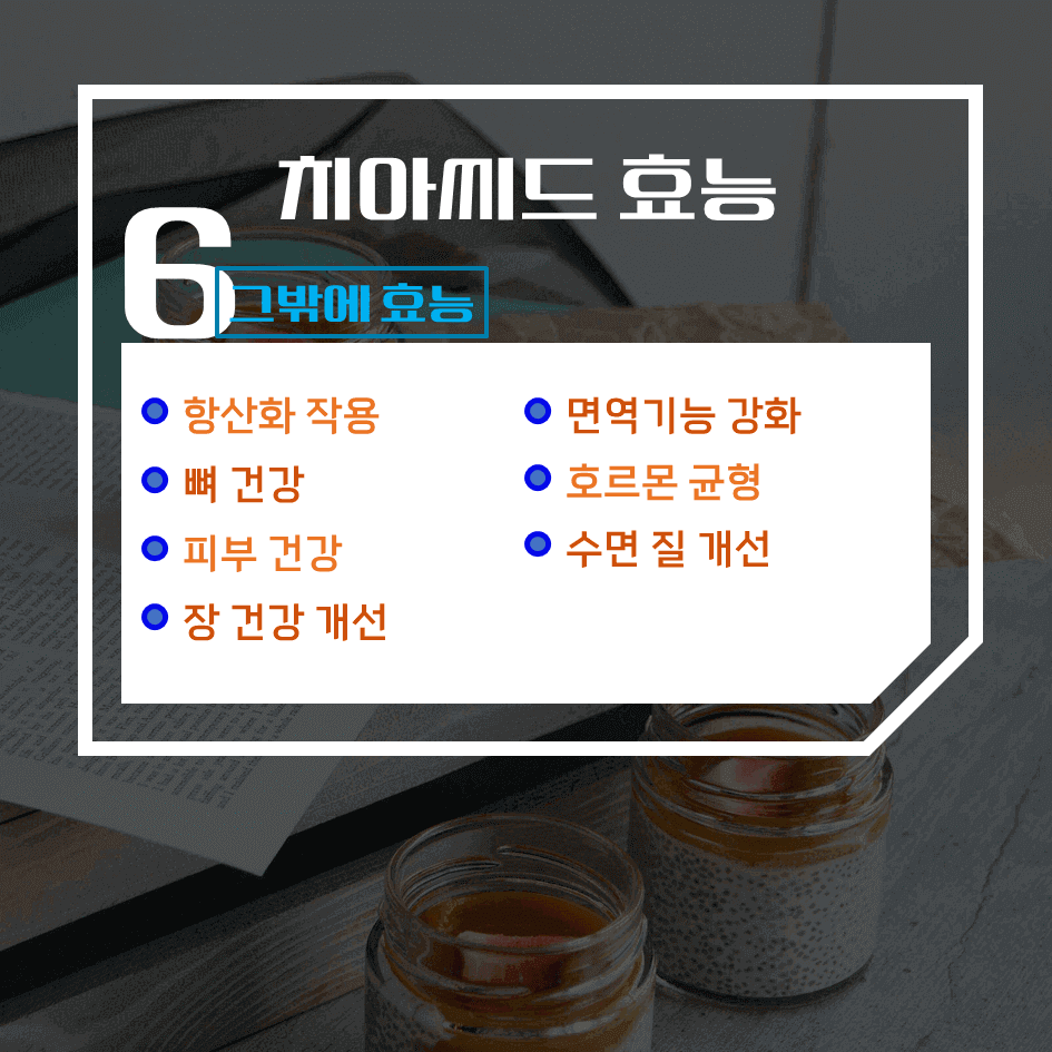 하루 한 스푼의 건강법! 치아씨드 효능 & 칼로리 1탄 : 오메가-3·마그네슘·식이섬유가 풍부한 슈퍼푸드
