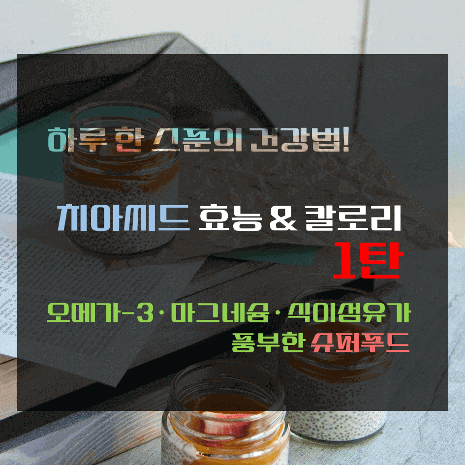 하루 한 스푼의 건강법! 치아씨드 효능 & 칼로리 1탄 : 오메가-3·마그네슘·식이섬유가 풍부한 슈퍼푸드