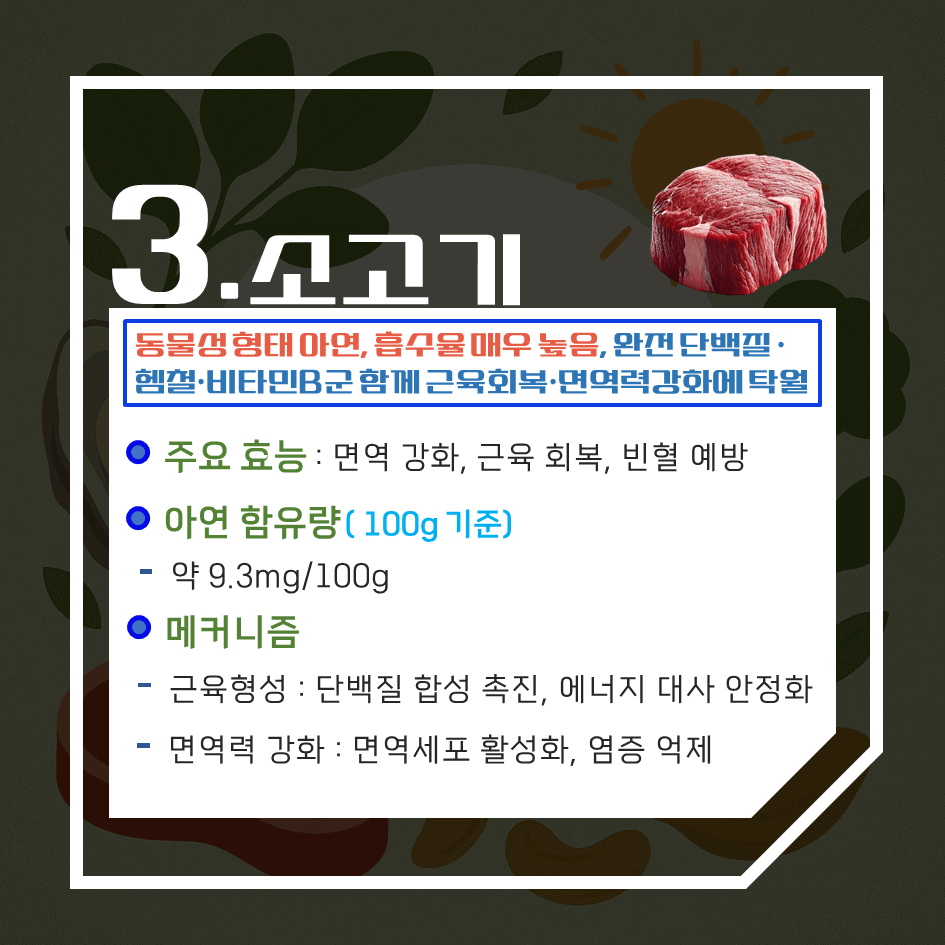 아연 함량 끝판왕! 하루 권장량 100% 충족 자연식품 TOP7 : 면역·호르몬·피부 건강 한 번에