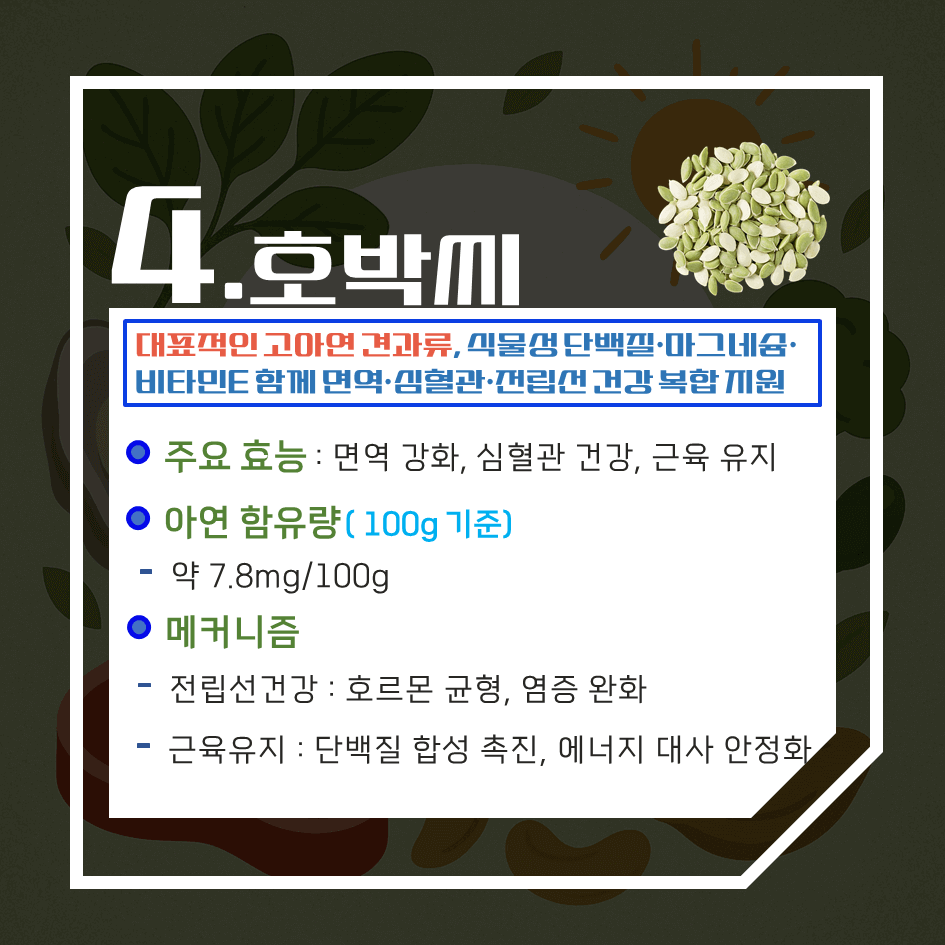 아연 함량 끝판왕! 하루 권장량 100% 충족 자연식품 TOP7 : 면역·호르몬·피부 건강 한 번에