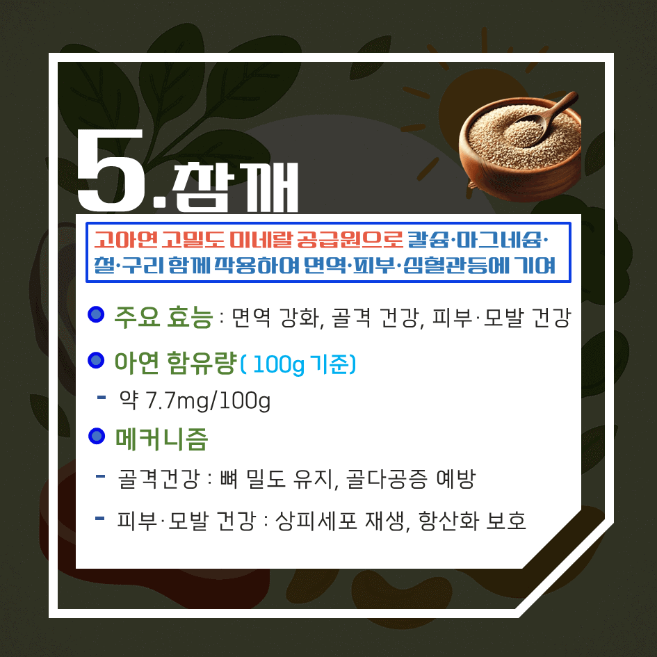 아연 함량 끝판왕! 하루 권장량 100% 충족 자연식품 TOP7 : 면역·호르몬·피부 건강 한 번에