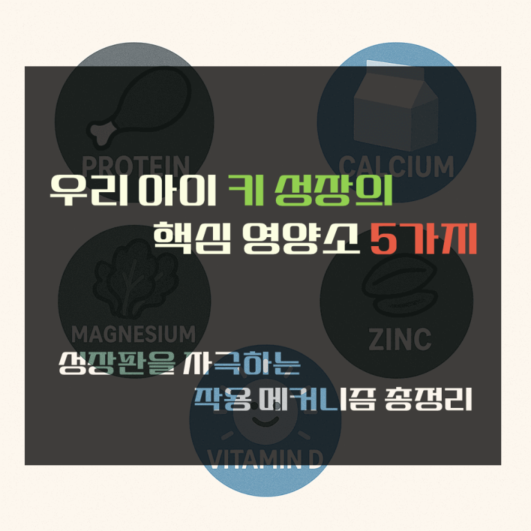 우리 아이 키 성장의 핵심 영양소 5가지 : 성장판을 자극하는 작용 메커니즘 총정리