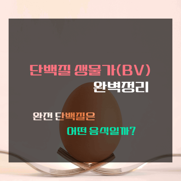 단백질 생물가(BV) 완벽정리 : 완전 단백질은 어떤 음식일까?