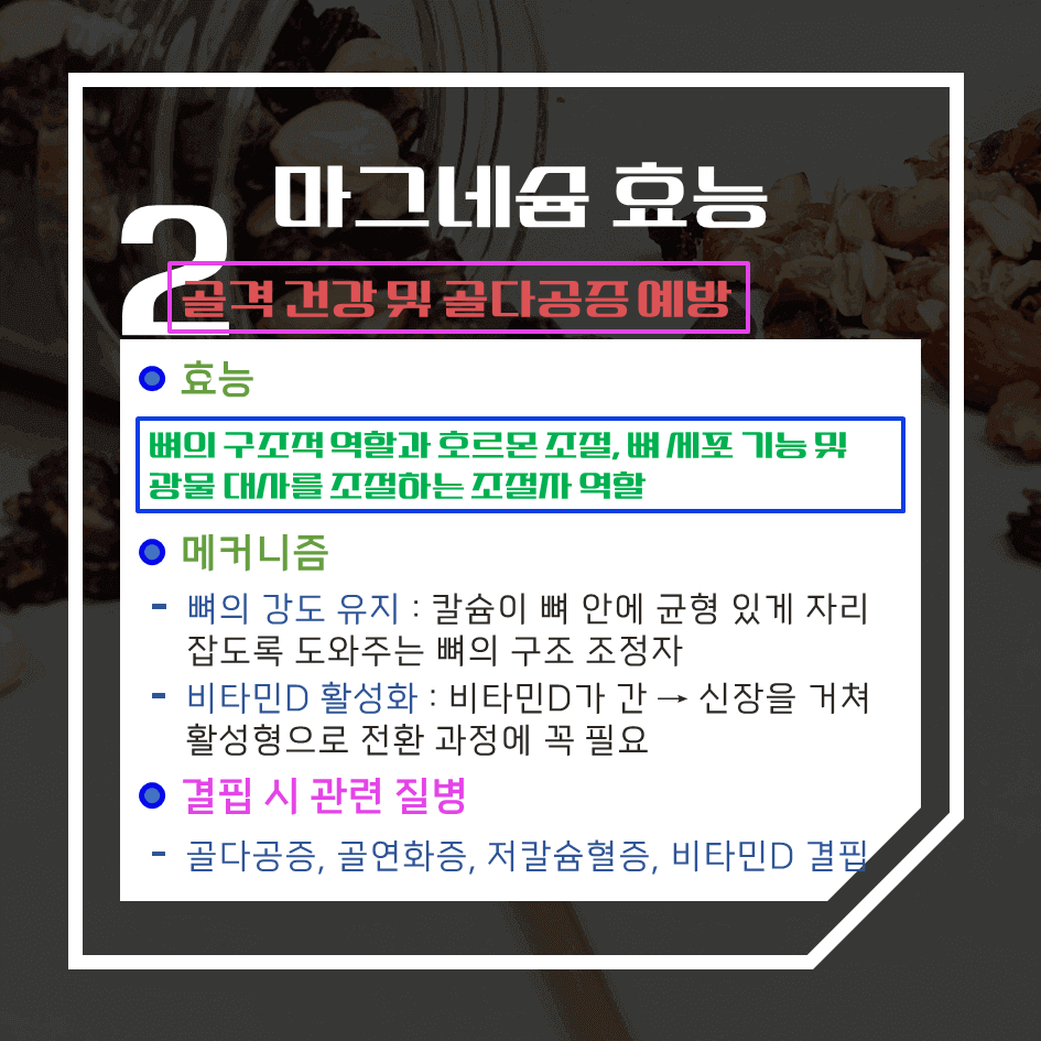 마그네슘의 과학적 효능 7가지 : 의사가 먼저 챙기는 이유?