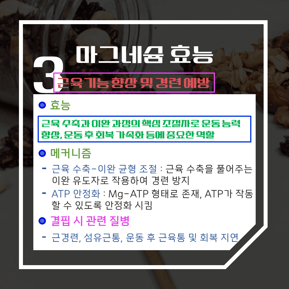 마그네슘의 과학적 효능 7가지 : 의사가 먼저 챙기는 이유?
