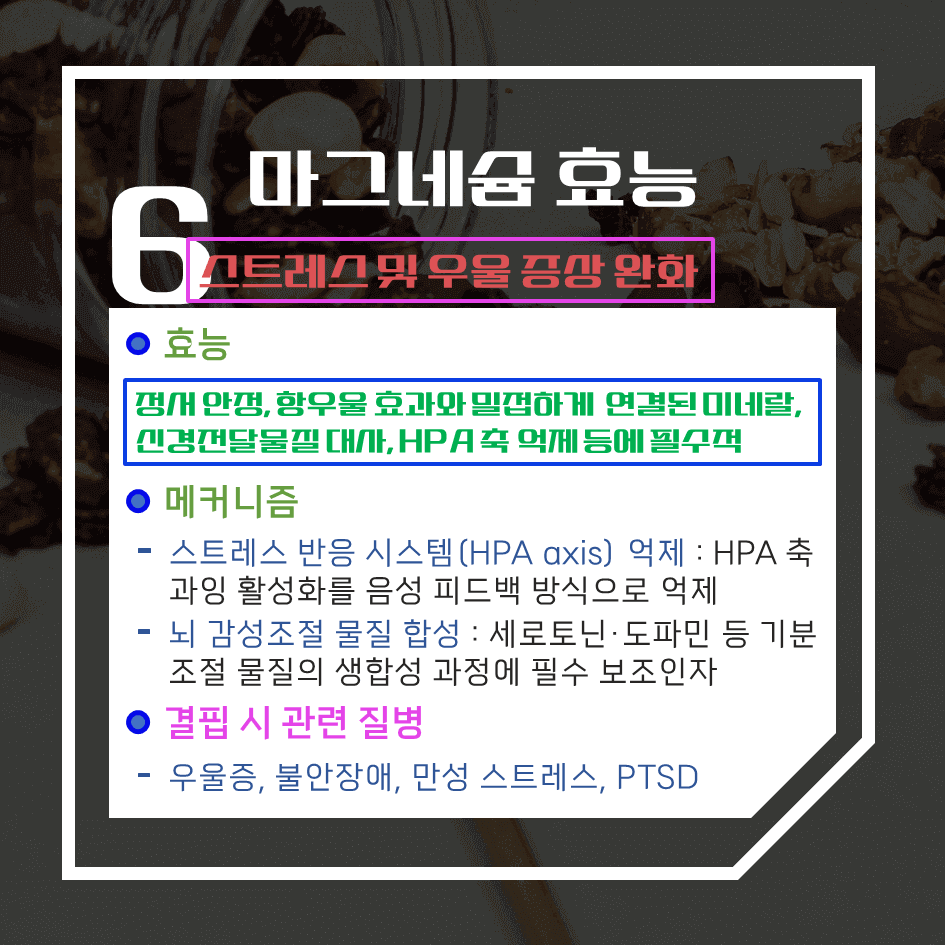 마그네슘의 과학적 효능 7가지 : 의사가 먼저 챙기는 이유?
