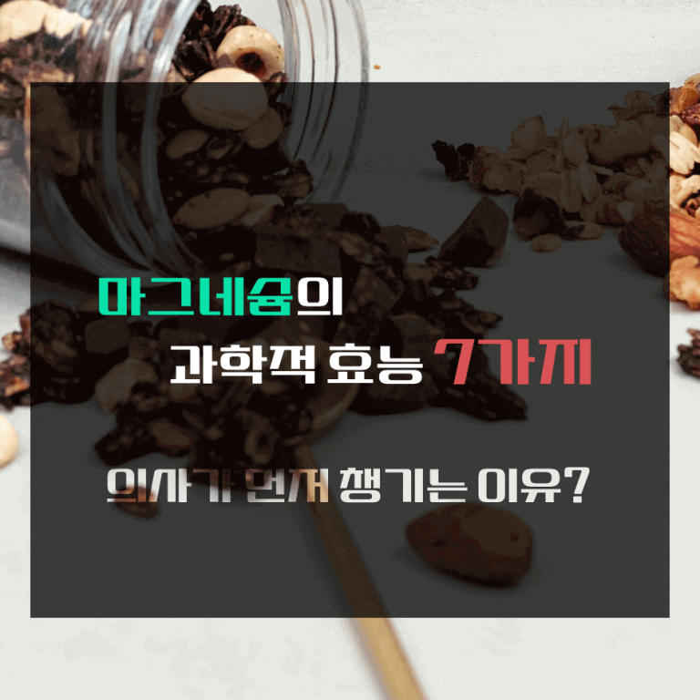 마그네슘의 과학적 효능 7가지 : 의사가 먼저 챙기는 이유?