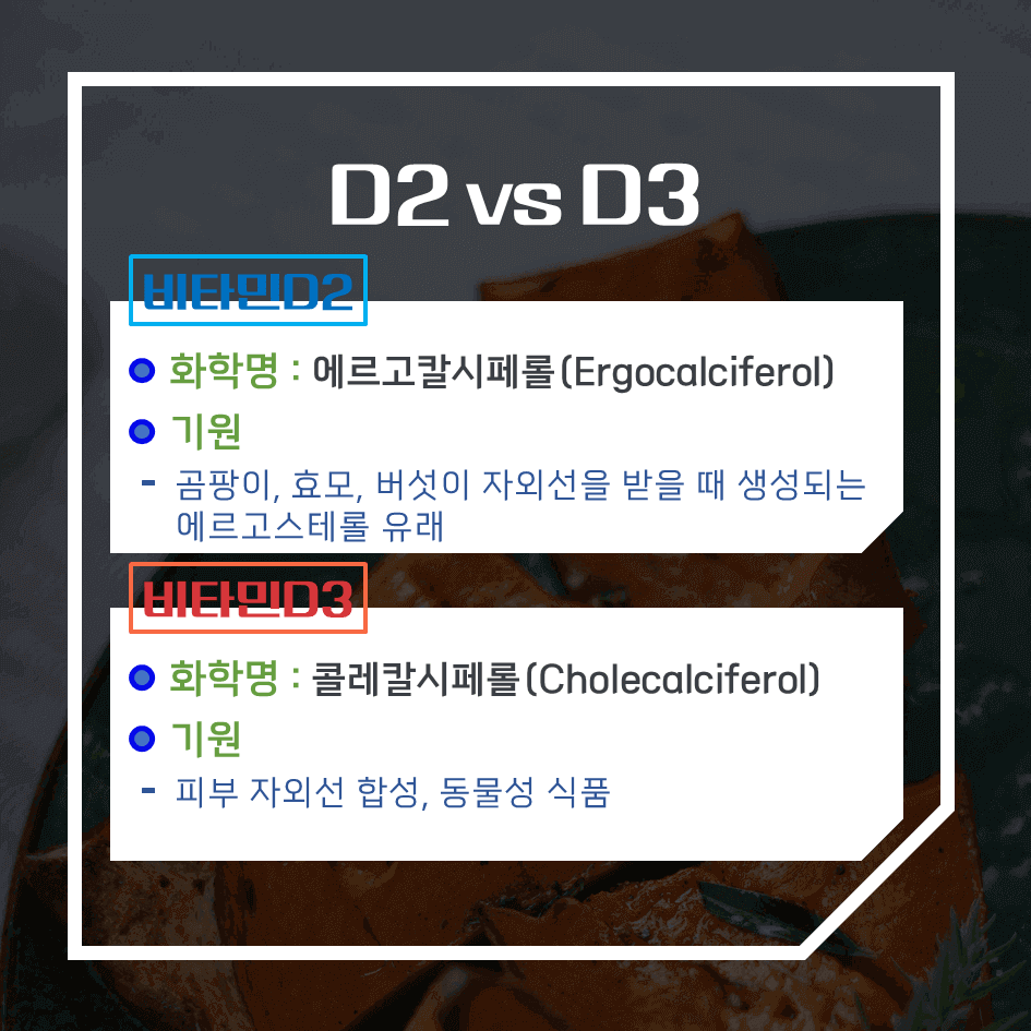 비타민D2 vs D3 완벽정리 : 어떤 비타민D 보충제가 더 효과적일까?