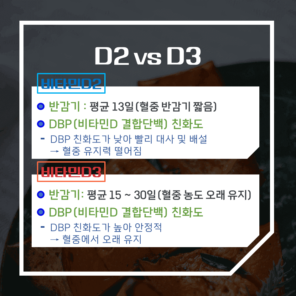 비타민D2 vs D3 완벽정리 : 어떤 비타민D 보충제가 더 효과적일까?