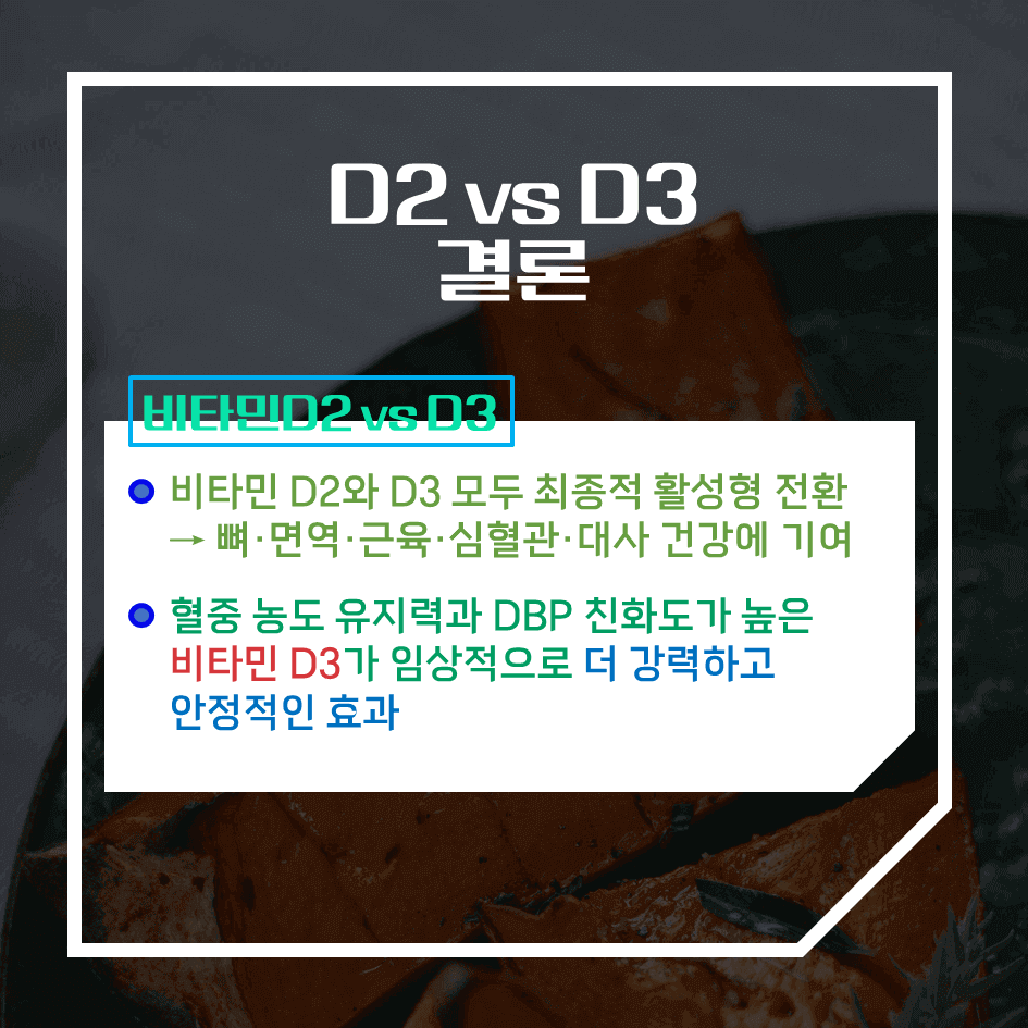 비타민D2 vs D3 완벽정리 : 어떤 비타민D 보충제가 더 효과적일까?