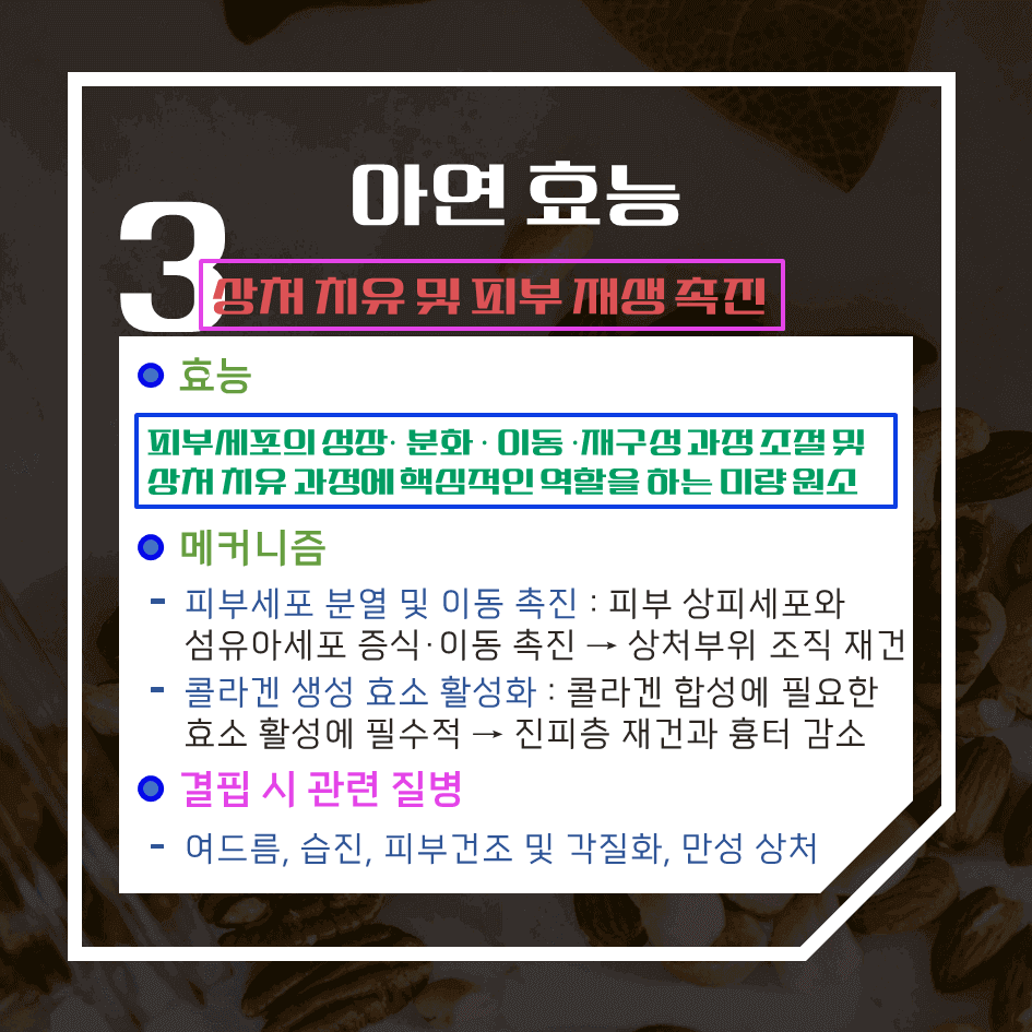 성장과 면역의 핵심! 아연의 과학적 효능 7가지 : 필수 미량원소 완전 분석