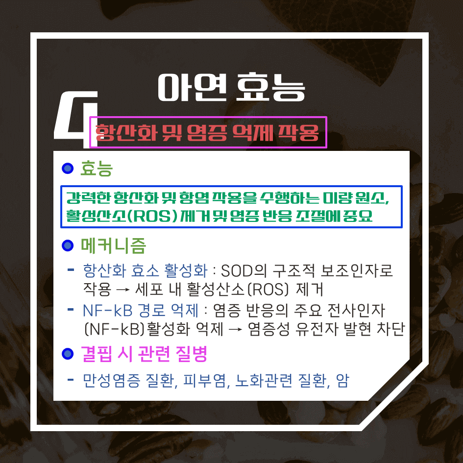 성장과 면역의 핵심! 아연의 과학적 효능 7가지 : 필수 미량원소 완전 분석