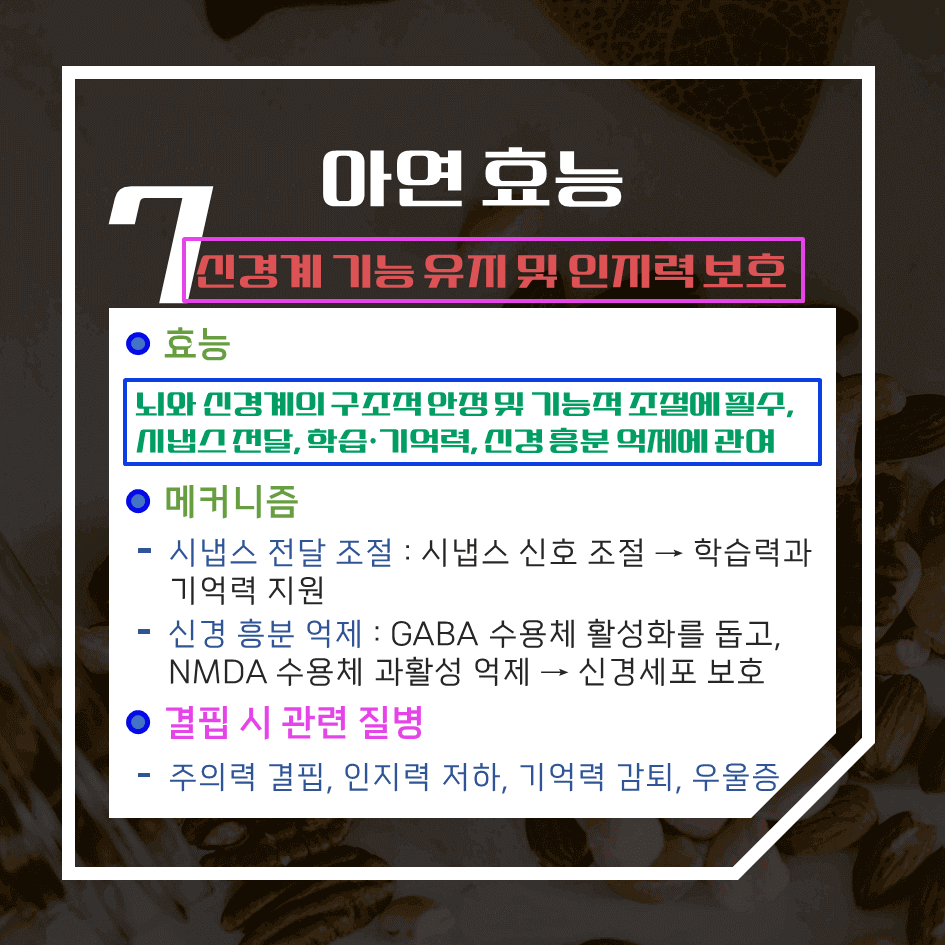 성장과 면역의 핵심! 아연의 과학적 효능 7가지 : 필수 미량원소 완전 분석