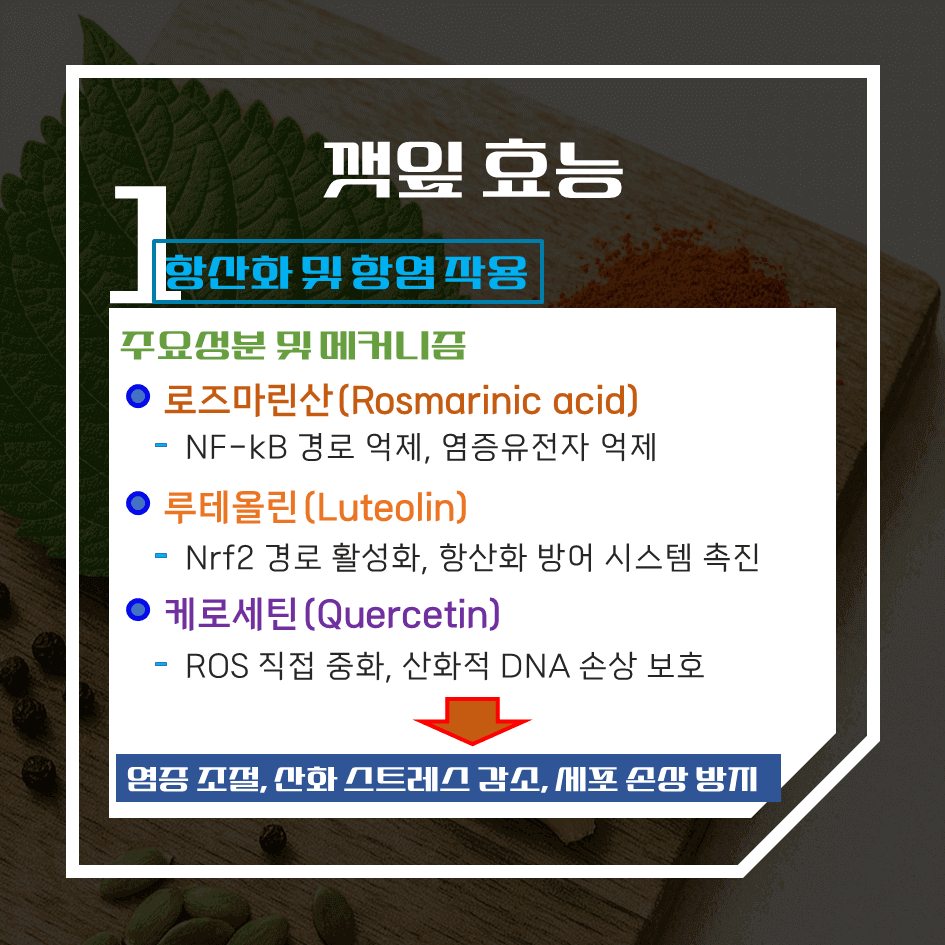 향으로 먹고 건강으로 남는 깻잎 효능 & 칼로리 1탄 : 천연 향신 약초의 비밀