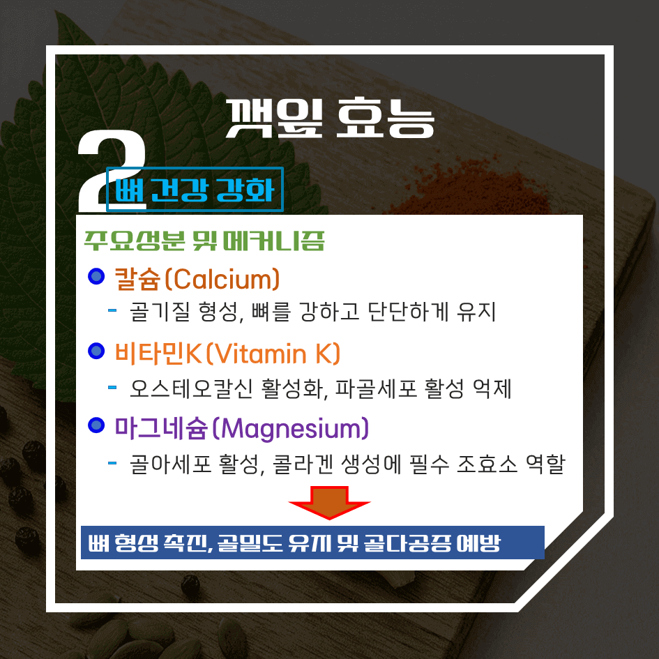 향으로 먹고 건강으로 남는 깻잎 효능 & 칼로리 1탄 : 천연 향신 약초의 비밀