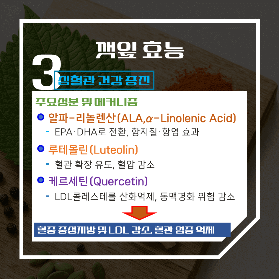 향으로 먹고 건강으로 남는 깻잎 효능 & 칼로리 1탄 : 천연 향신 약초의 비밀