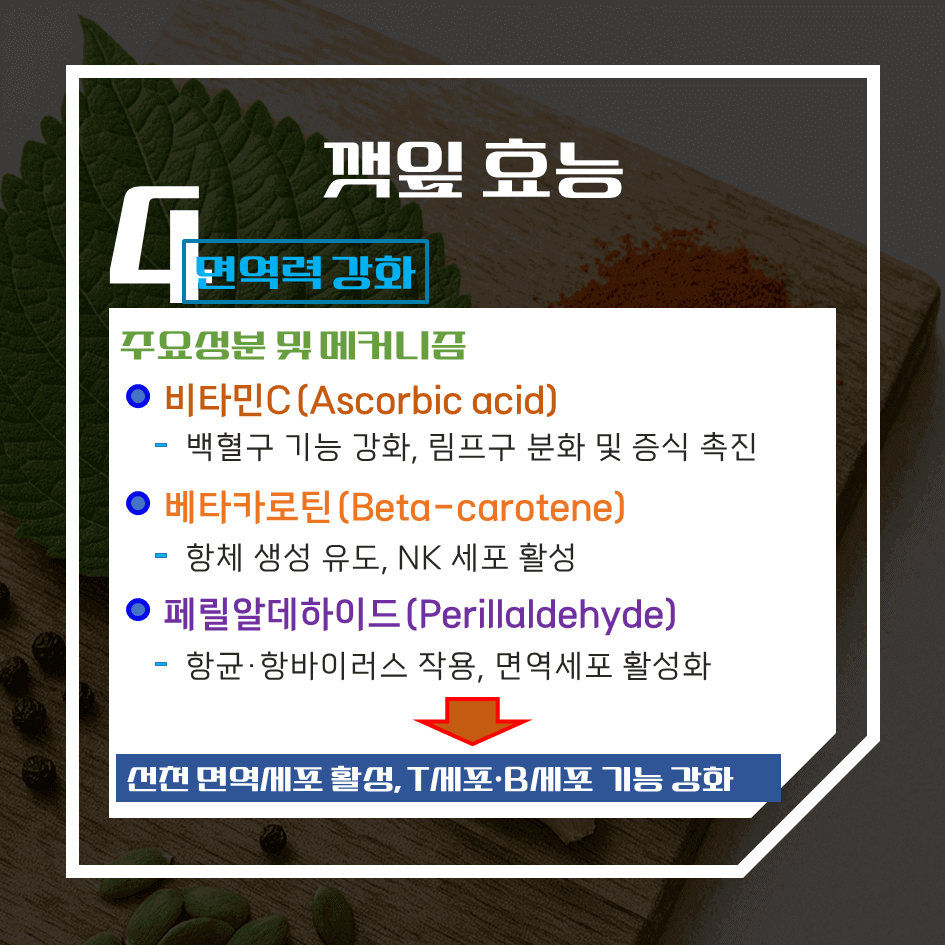 향으로 먹고 건강으로 남는 깻잎 효능 & 칼로리 1탄 : 천연 향신 약초의 비밀
