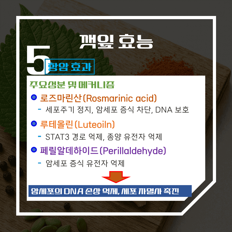 향으로 먹고 건강으로 남는 깻잎 효능 & 칼로리 1탄 : 천연 향신 약초의 비밀