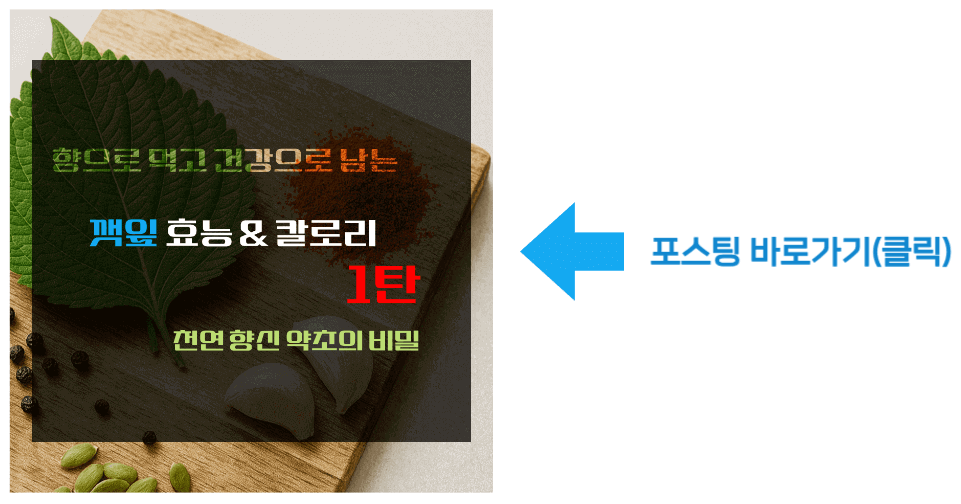 향으로 먹고 건강으로 남는 깻잎 효능 & 칼로리 1탄 바로가기
