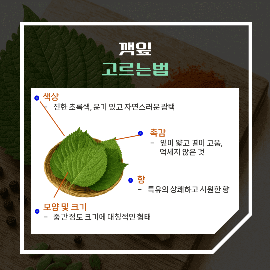 향으로 먹고 건강으로 남는 깻잎 효능 & 칼로리 2탄 : 신선하게 고르고 오래 보관하는 법