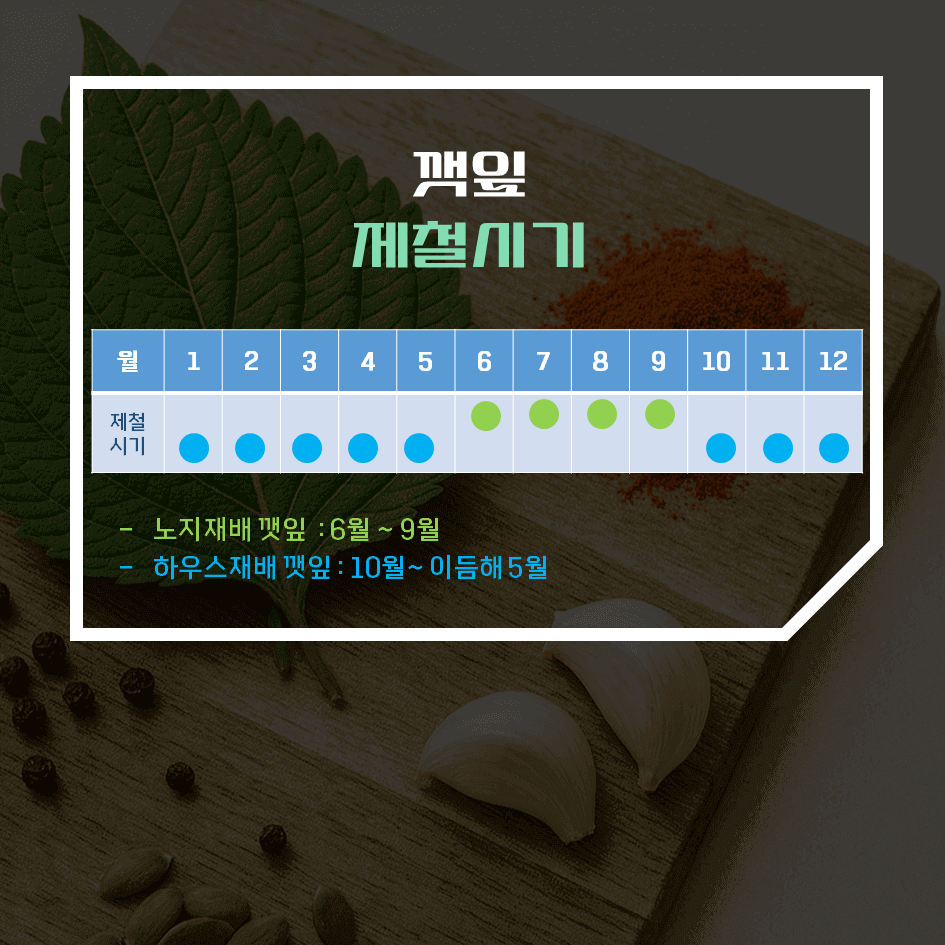향으로 먹고 건강으로 남는 깻잎 효능 & 칼로리 2탄 : 신선하게 고르고 오래 보관하는 법